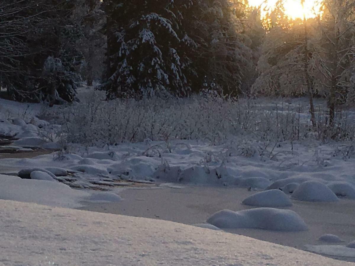 Seinaejoen Leirintaealue Hotell Seinäjoki Exteriör bild